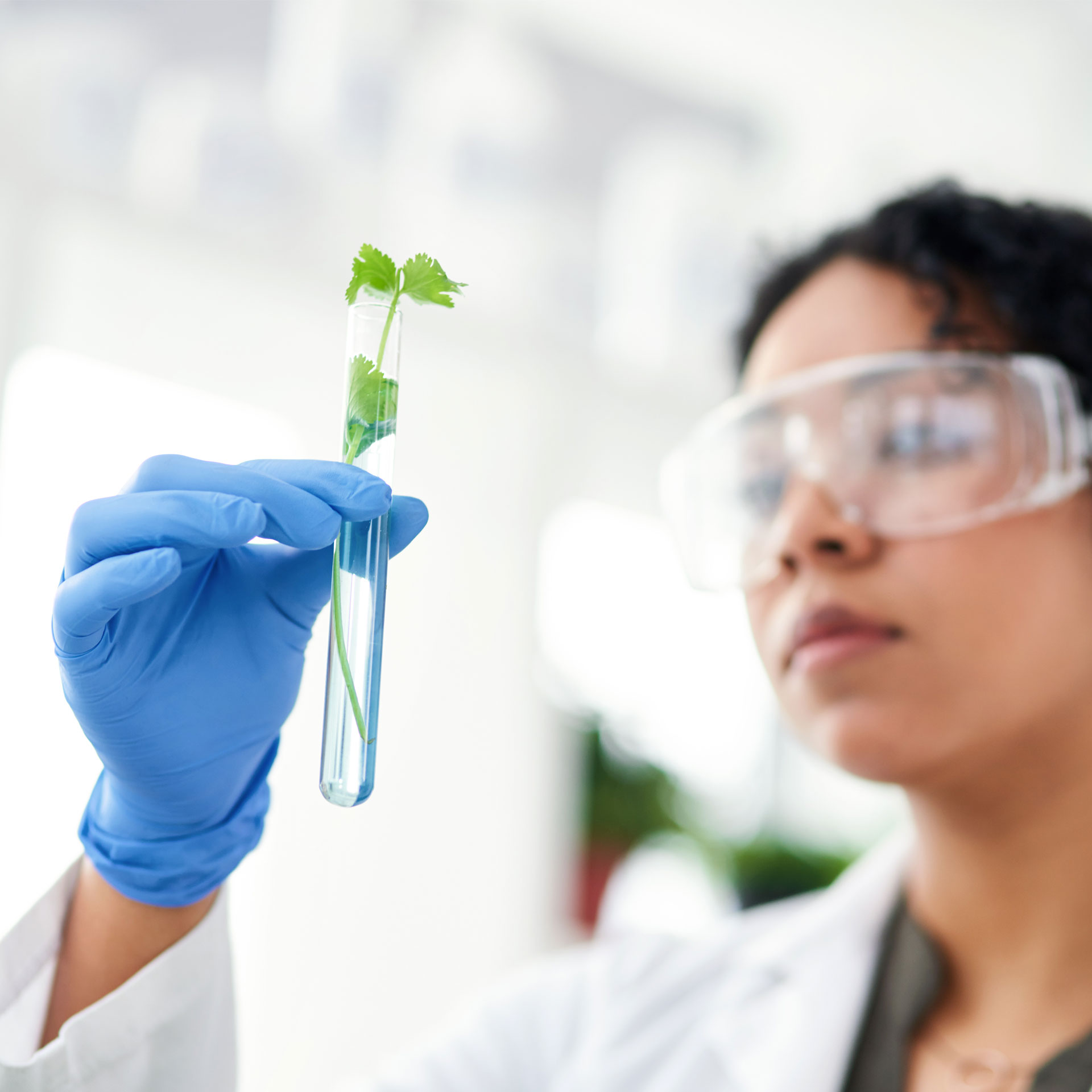 Investigación